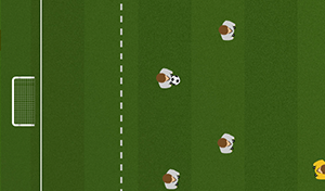 Sweeper Keeper with End Zones - Tactical Soccer